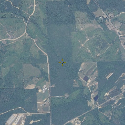 Aerial/Satellite Image of Falls Branch, AL