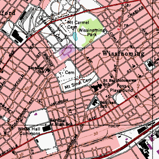 Topographic Map of Mount Sinai Cemetery, PA