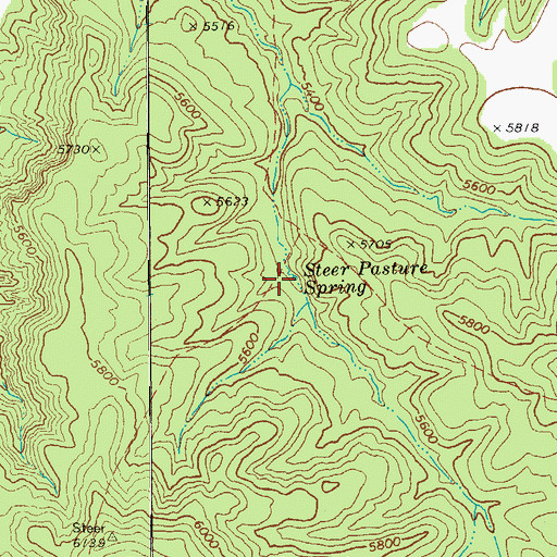 Topographic Map of Steer Pasture Spring, AZ