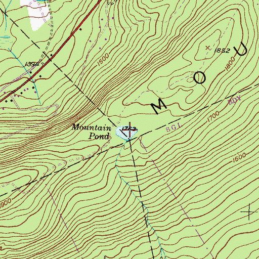 Topographic Map of Mountain Pond, PA