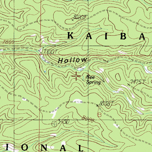 Topographic Map of Bee Spring, AZ