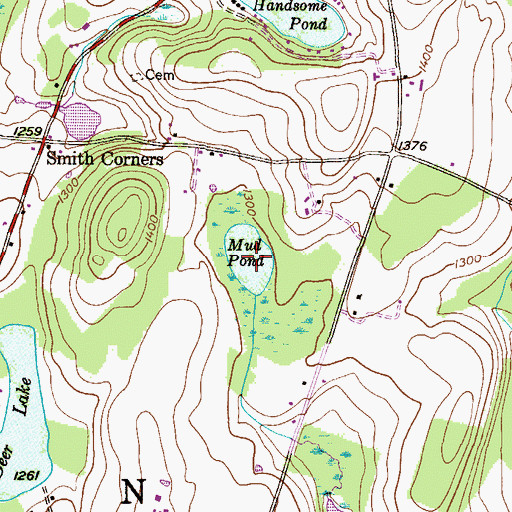 Topographic Map of Mud Pond, PA