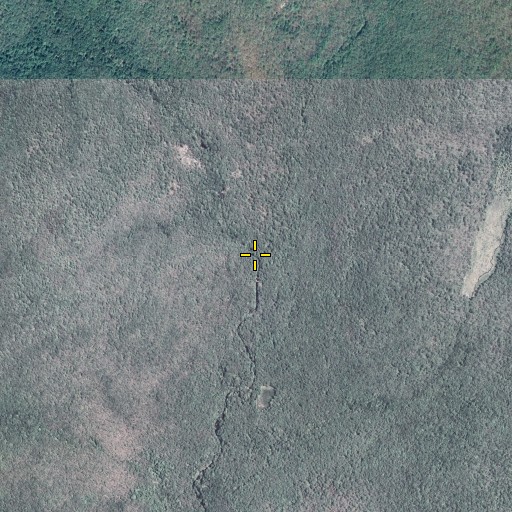 Aerial/Satellite Image of Mud Pond Run, PA