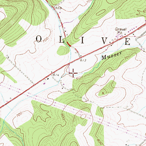 Topographic Map of Musser Run, PA