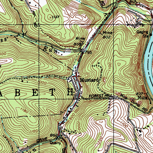 Topographic Map of Mustard, PA