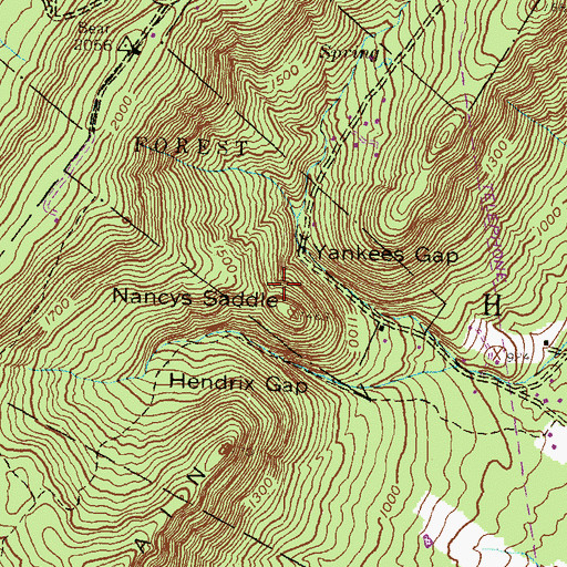 Topographic Map of Nancys Saddle, PA