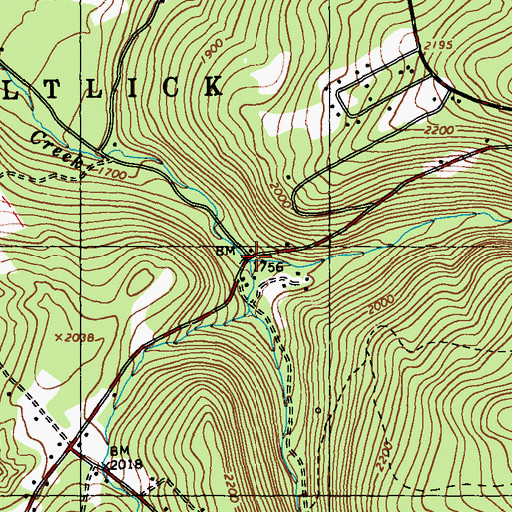 Topographic Map of Neals Run, PA