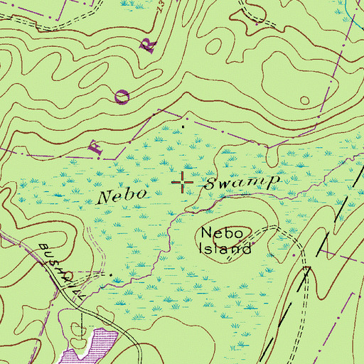 Topographic Map of Nebo Swamp, PA