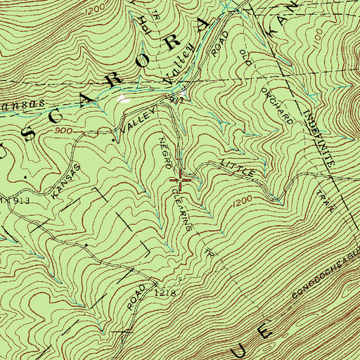 Topographic Map of Negro Clearing Trail, PA