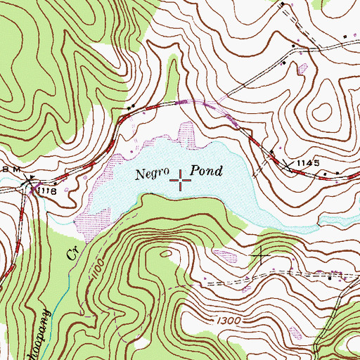 Topographic Map of Negro Pond, PA