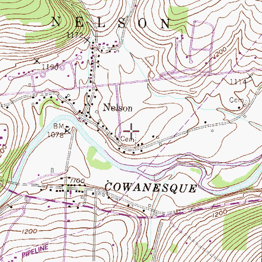 Topographic Map of Nelson Cemetery, PA