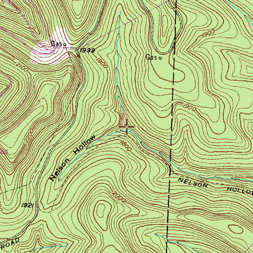 Topographic Map of Nelson Hollow, PA