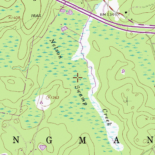 Topographic Map of Nelson Swamp, PA