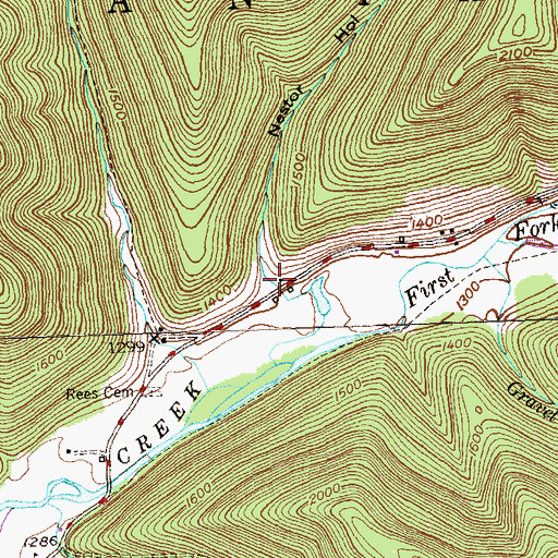 Topographic Map of Nestor Hollow, PA