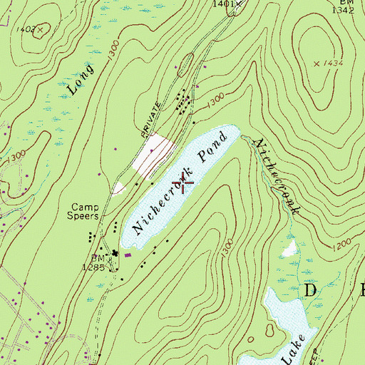 Topographic Map of Nichecronk Pond, PA