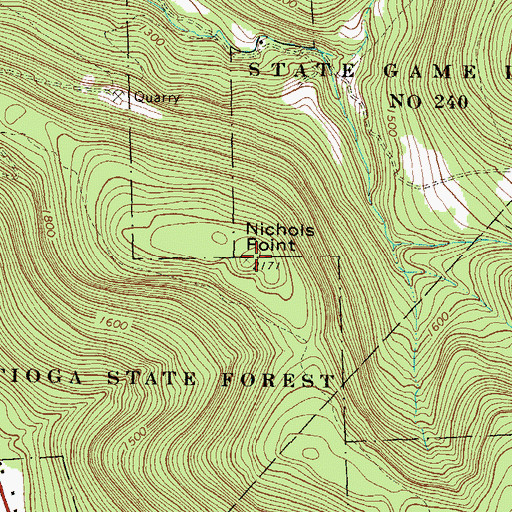 Topographic Map of Nichols Point, PA