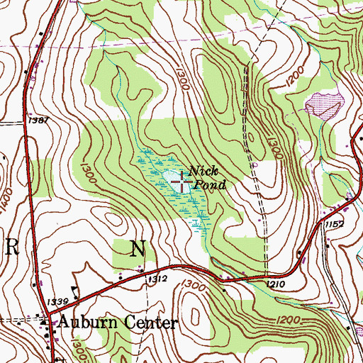 Topographic Map of Nick Pond, PA