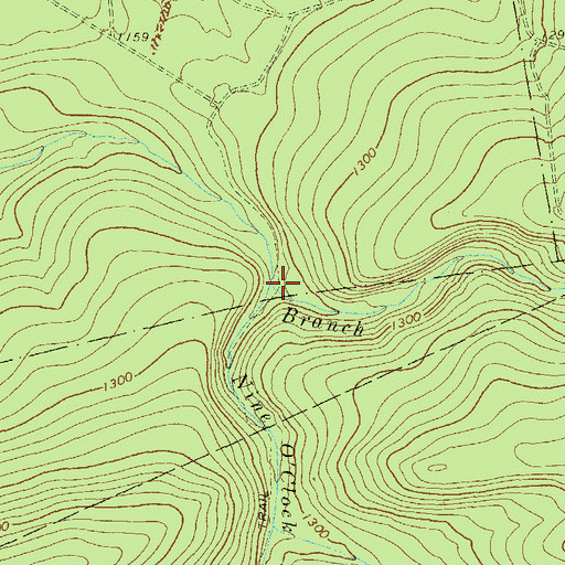 Topographic Map of Nine O'Clock Run, PA