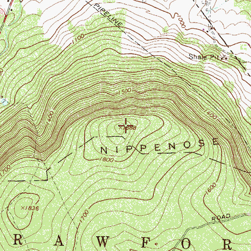 Topographic Map of Nippenose Mountain, PA