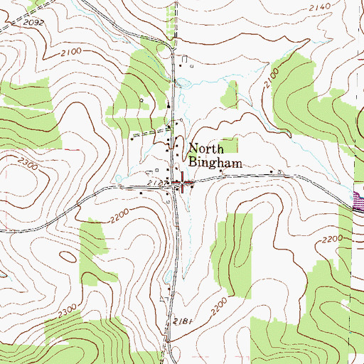 Topographic Map of North Bingham, PA
