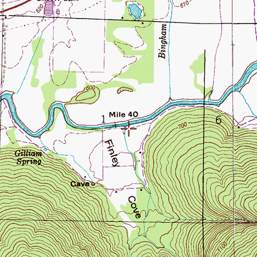 Topographic Map of Finley Cove, AL