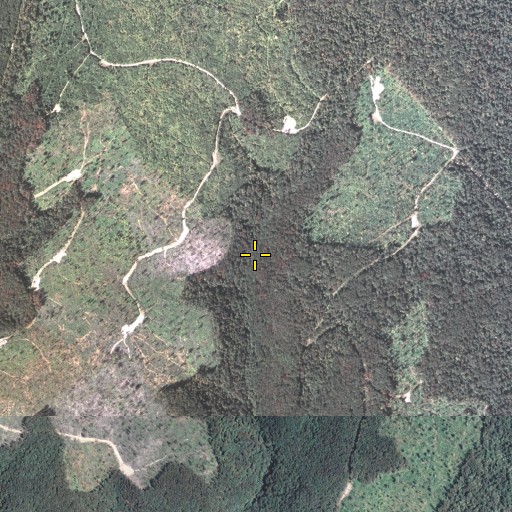 Aerial/Satellite Image of Old Cabin Trail, PA