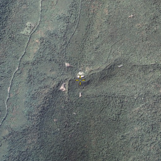Aerial/Satellite Image of Old Womans Gap, PA