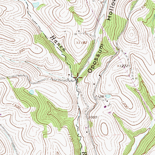 Topographic Map of Opossum Hollow, PA