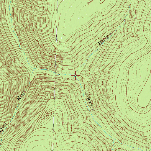 Topographic Map of Packer Fork, PA