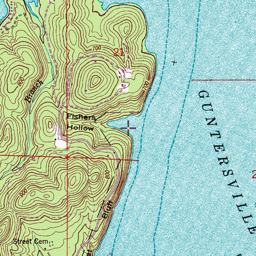 Topographic Map of Fishers Hollow, AL