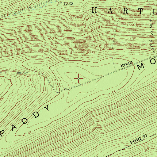 Topographic Map of Paddy Mountain, PA