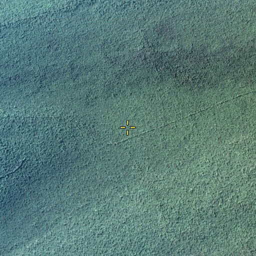 Aerial/Satellite Image of Paddy Mountain, PA