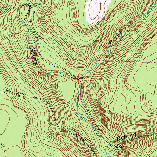 Topographic Map of Paint Run, PA
