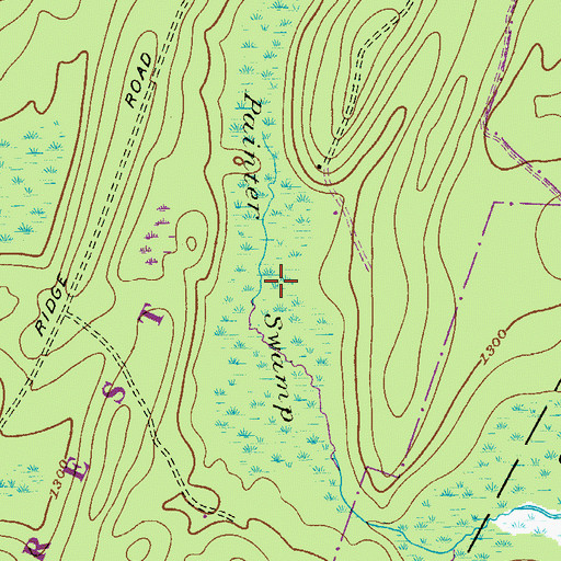 Topographic Map of Painter Swamp, PA