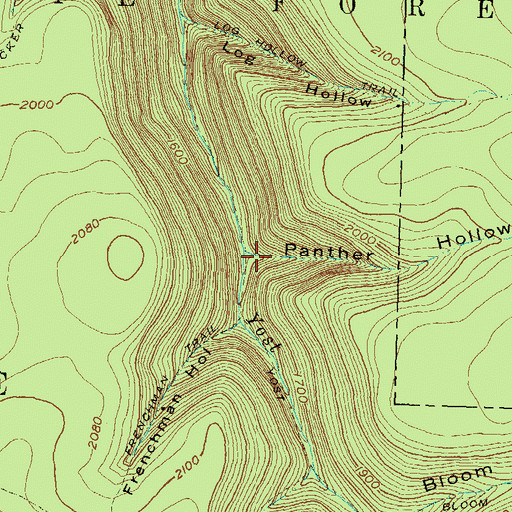 Topographic Map of Panther Hollow, PA