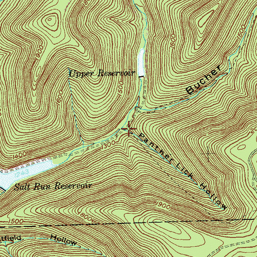 Topographic Map of Panther Lick Hollow, PA