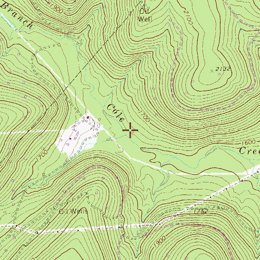 Topographic Map of Panther Run, PA