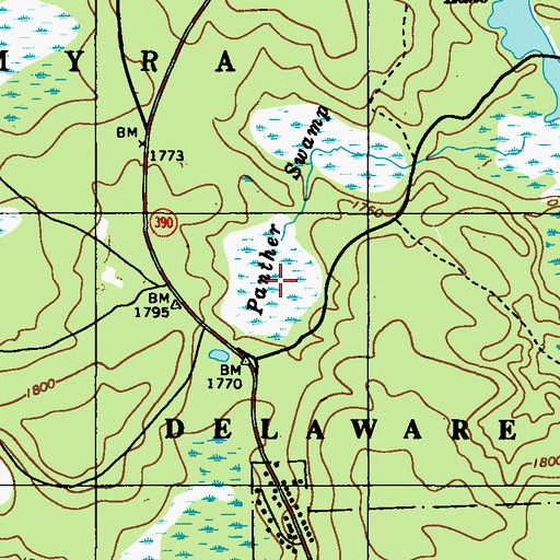 Topographic Map of Panther Swamp, PA