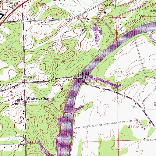 Topographic Map of Fitts Ferry, AL