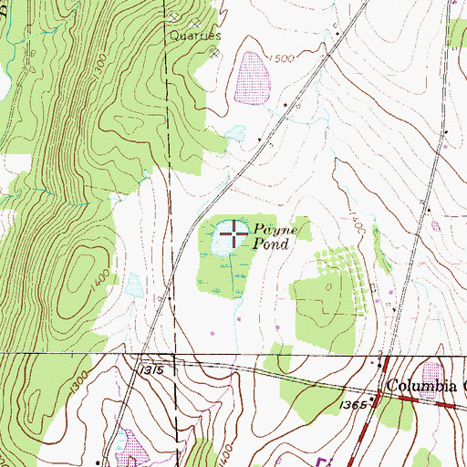 Topographic Map of Payne Pond, PA