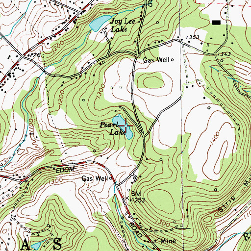 Topographic Map of Pearl Lake, PA