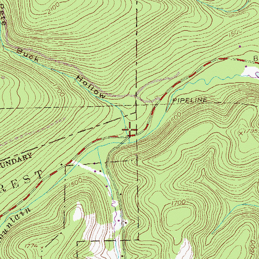 Topographic Map of Pete Buck Hollow, PA