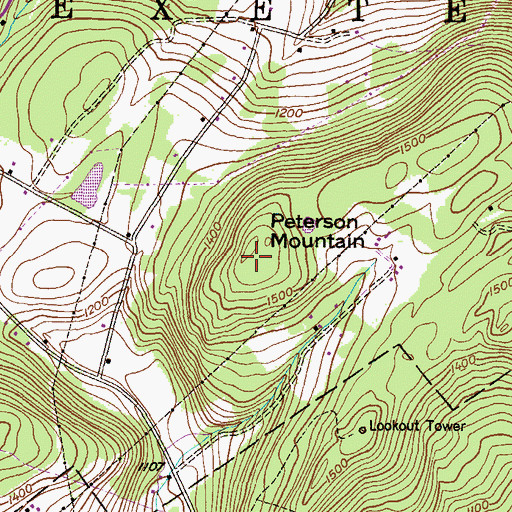 Topographic Map of Peterson Mountain, PA
