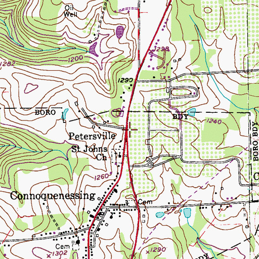 Topographic Map of Petersville, PA