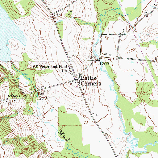 Topographic Map of Pettis Corners, PA