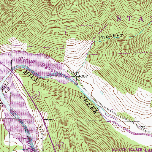 Topographic Map of Phoenix Run, PA