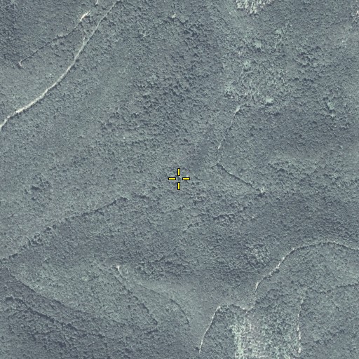 Aerial/Satellite Image of Pine Camp Trail, PA