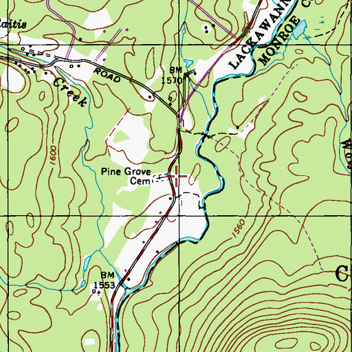 Topographic Map of Pine Grove Cemetery, PA