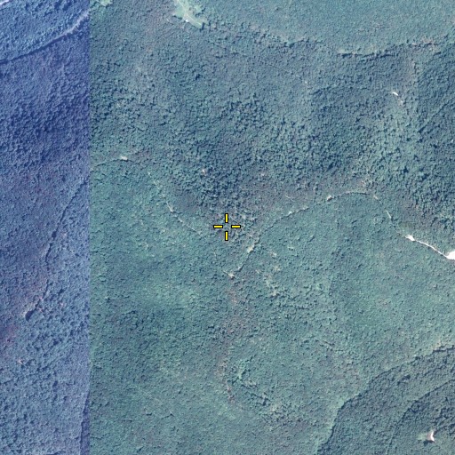 Aerial/Satellite Image of Pine Hill, PA