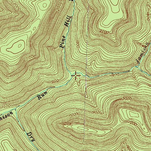 Topographic Map of Pine Hill Run, PA